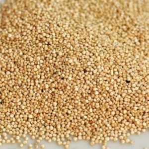 Quinoa