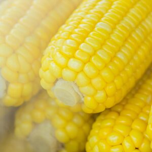 Maize