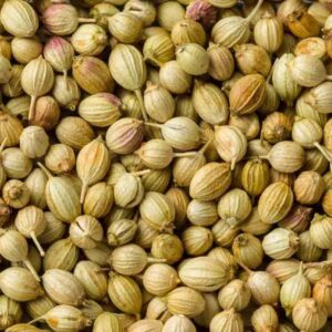 Coriander