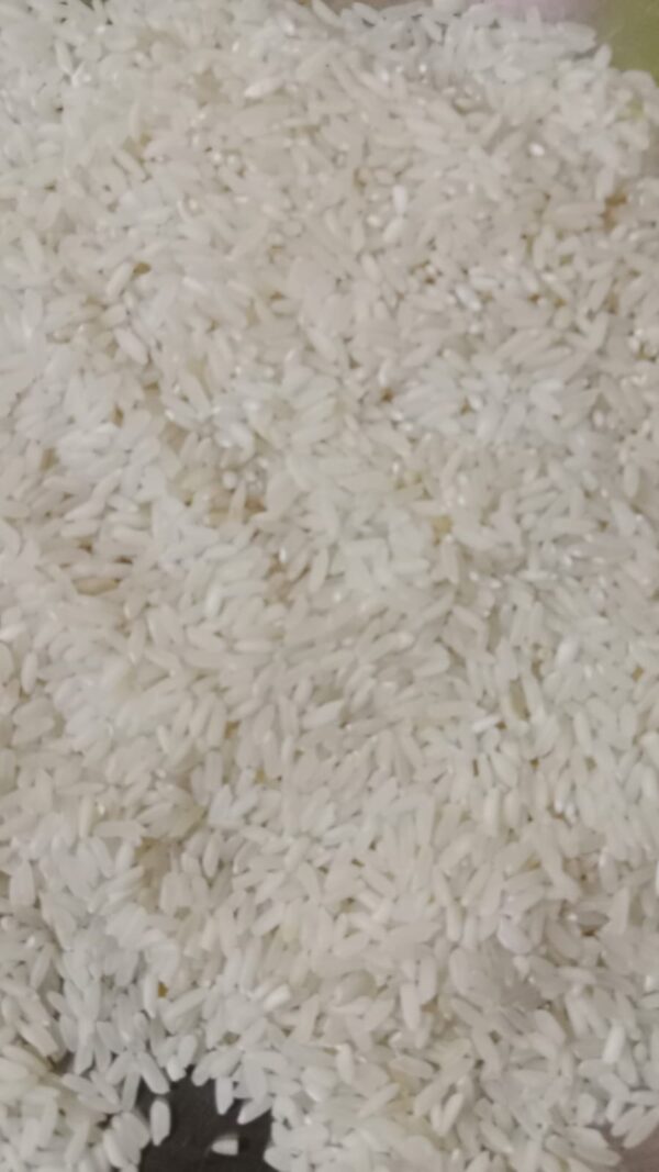 NON BASMATI