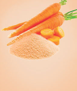 Carrot Powder