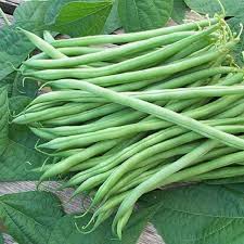 cowpea beans