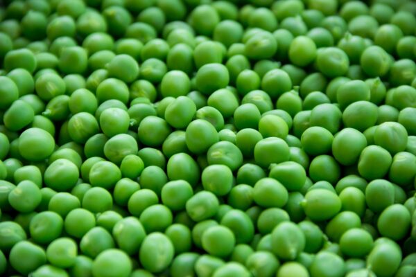 Pigeon Peas