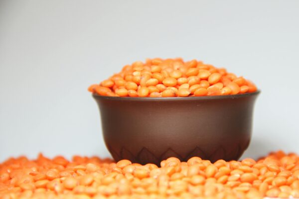 Red Lentil