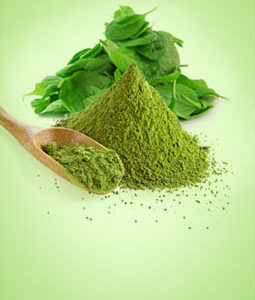 Spinach Powder